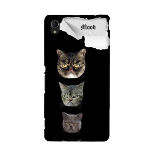 CAT CASE Casing HP