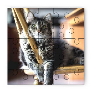 Puzzle Kucing