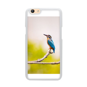 Lonely Bird Casing HP