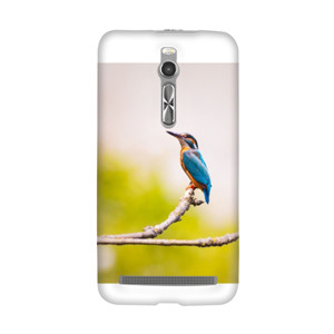 Lonely Bird Casing HP