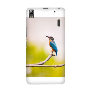 Lonely Bird Casing HP