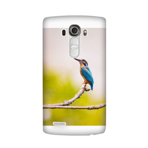 Lonely Bird Casing HP