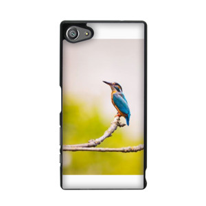 Lonely Bird Casing HP