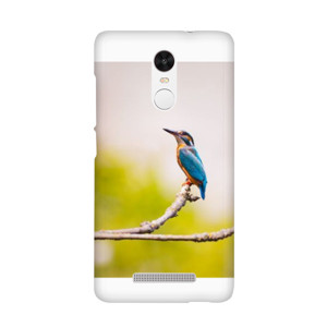 Lonely Bird Casing HP