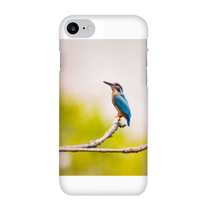 Lonely Bird Casing HP