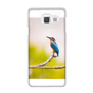 Lonely Bird Casing HP