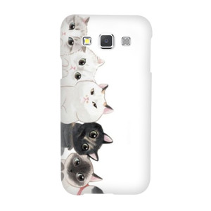 Meow Casing HP