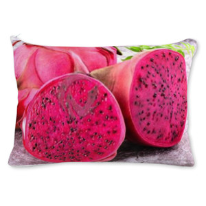 Bantal BUAH NAGA