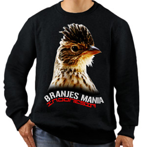 Jaket Sweater Burung Branjangan