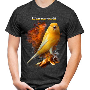 Kaos Burung Kenari