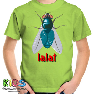 Kaos kaos lalat