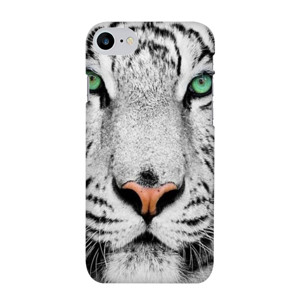 cas3 Casing HP