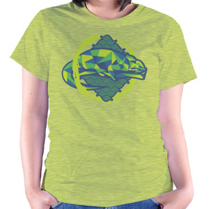 Kaos Dramatic Color Polygonal Chameleon