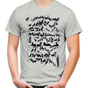 Kaos Partitur Cats