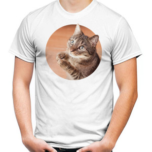 Kaos Cute Sad Cat