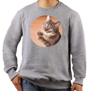 Jaket Sweater Cute Sad Cat