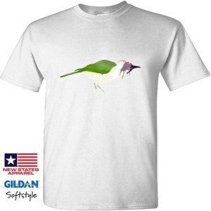 Kaos Birdz Series #1