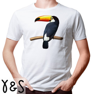 Kaos Bird Artworks 10  