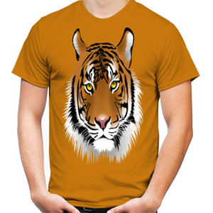Kaos kaos