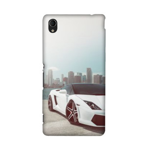 Lamborghini Casing HP