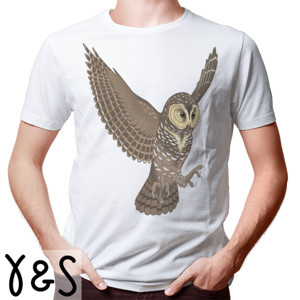 Kaos Burung