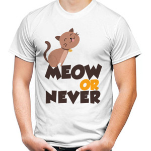 Kaos meow or never
