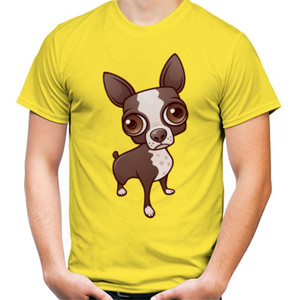 Kaos Zippy