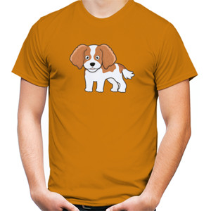 Kaos Cute cavalier king charles spaniel (Blenheim)