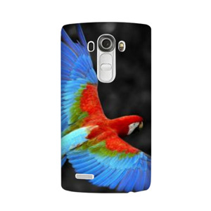 ANIMAL CASING Casing HP