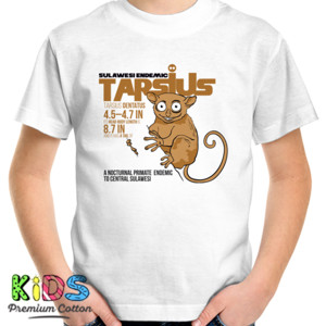 Kaos tarsius