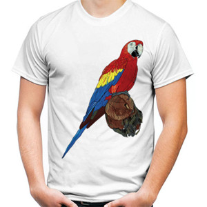 Kaos BUrung Nuri 2