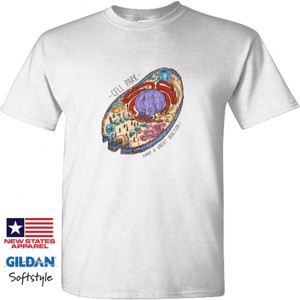 Kaos Cell Theme Park