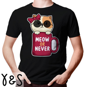 Kaos meow or never