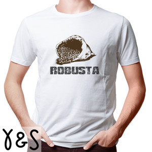 Kaos ROBUSTA
