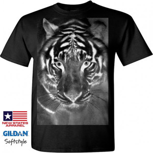 Kaos Mata Harimau 