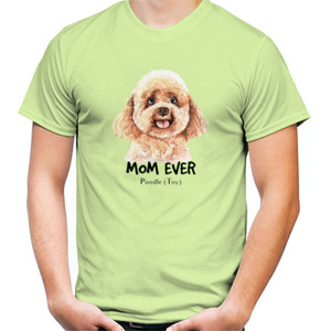 Kaos Poodle Dog