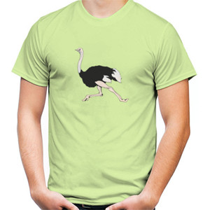 Kaos Kaos Burung Unta