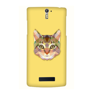 CAT TRIANGLE Casing HP