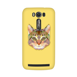 CAT TRIANGLE Casing HP
