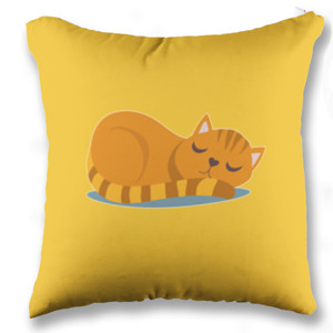 Bantal Cat