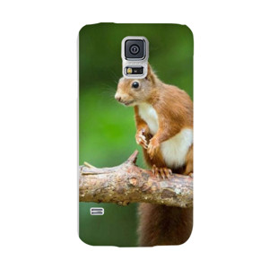 Brown Tupai Casing HP