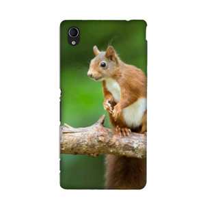 Brown Tupai Casing HP