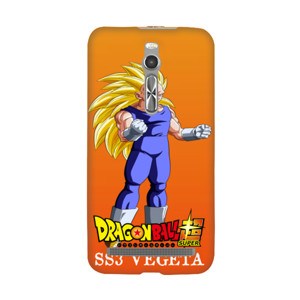 SS3 VEGETA Casing HP