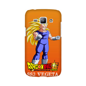 SS3 VEGETA Casing HP