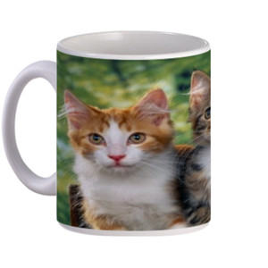 Mug KUCING MUG