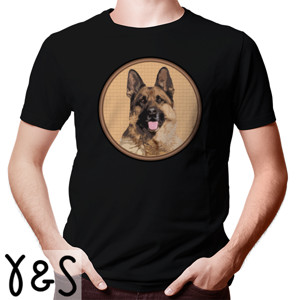 Kaos German Shepherd