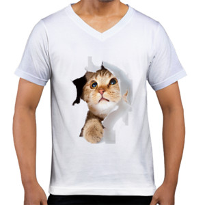 Kaos  The cat