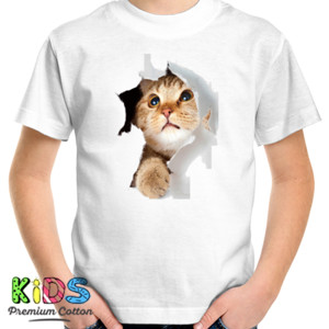 Kaos The cat