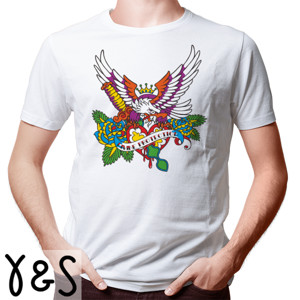 Kaos Divine Protection