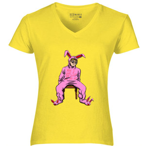 Kaos Now i have a bb gun